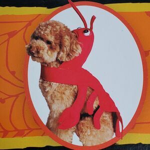 Lobster Dog Costume Medium Halloween Beagle Poodle Fetchwear